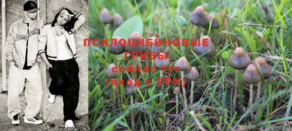 PSILOCYBIN Куйбышев