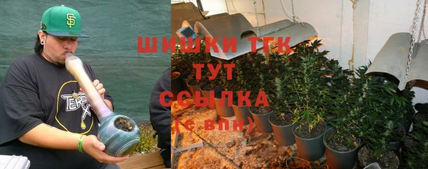 PSILOCYBIN Куйбышев