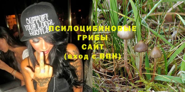 ALPHA PVP Снежинск