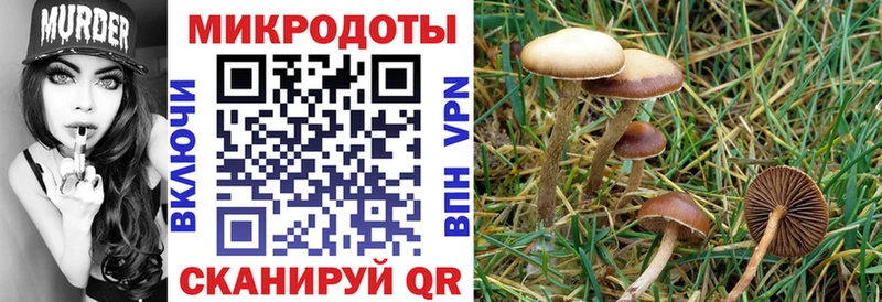 Псилоцибиновые грибы GOLDEN TEACHER  как найти закладки  OMG сайт  Малаховка 